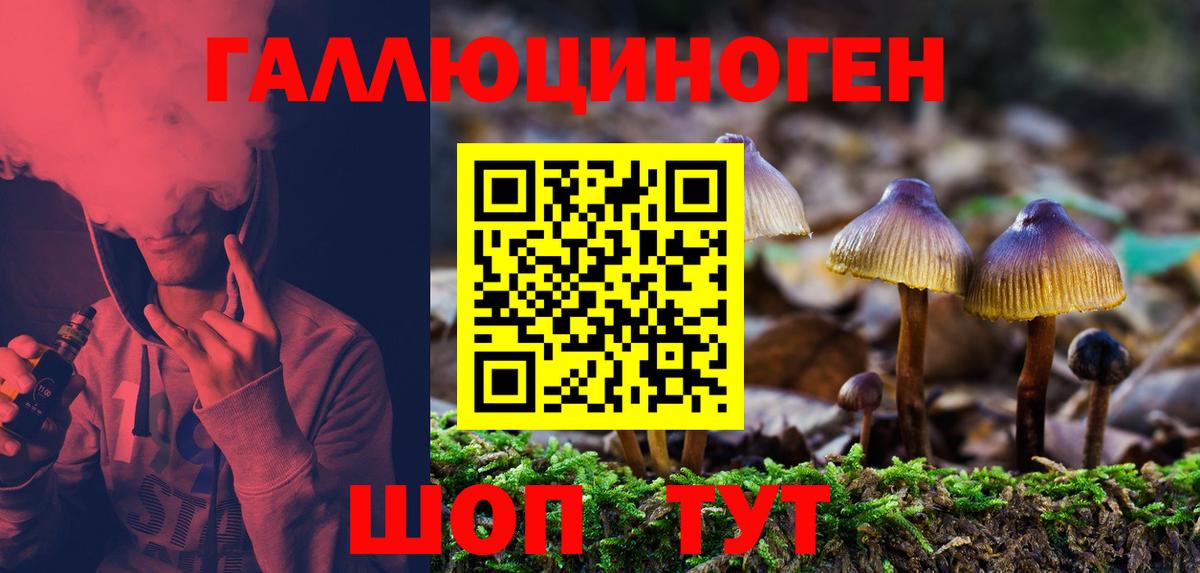 Псилоцибиновые грибы Psilocybine cubensis Дзержинский