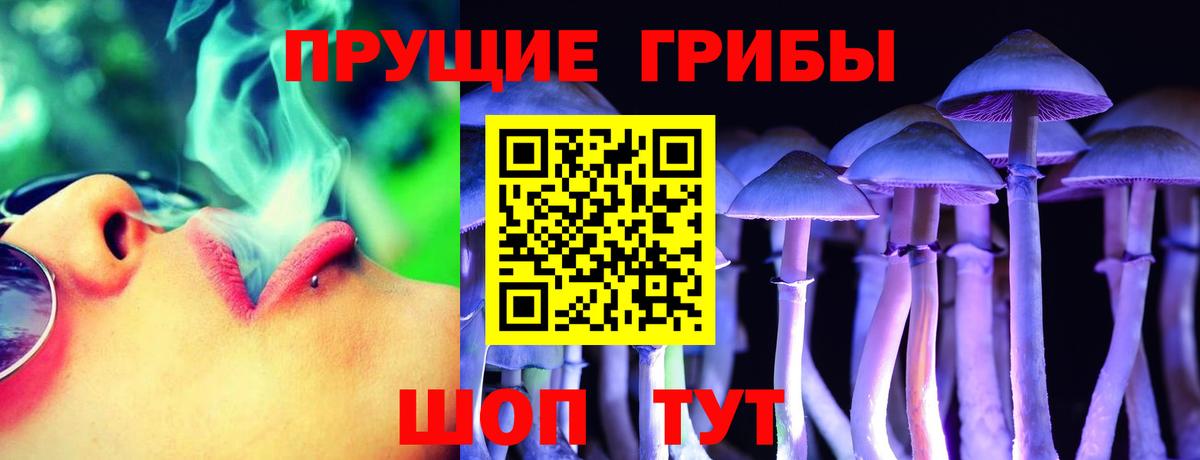 Галлюциногенные грибы Magic Shrooms  Вход с VPN  Псилоцибиновые грибы ЛСД  где купить   Дзержинский 